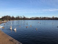 Welcome to My Parks - By our new editor — Alison Mould Trustee