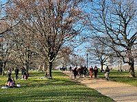 Activities in the Park
